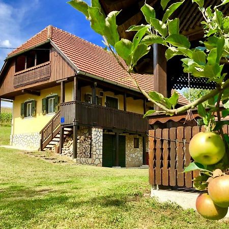 Country House Novosel Duga Resa Kültér fotó
