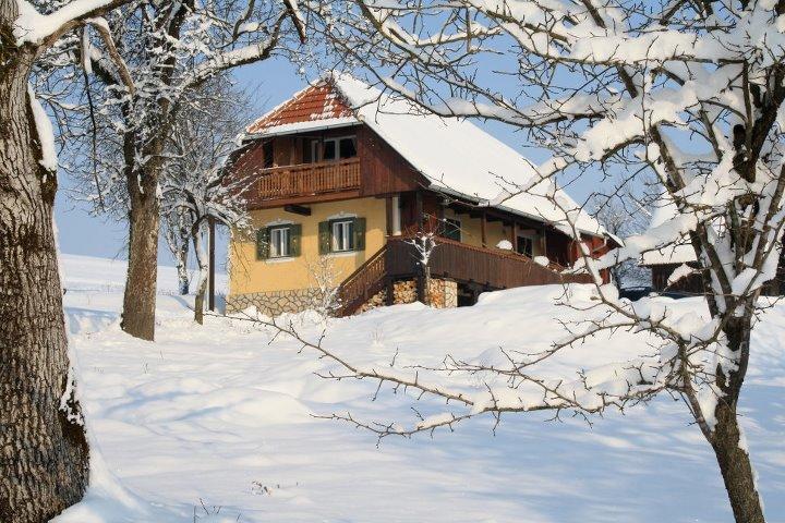 Country House Novosel Duga Resa Kültér fotó